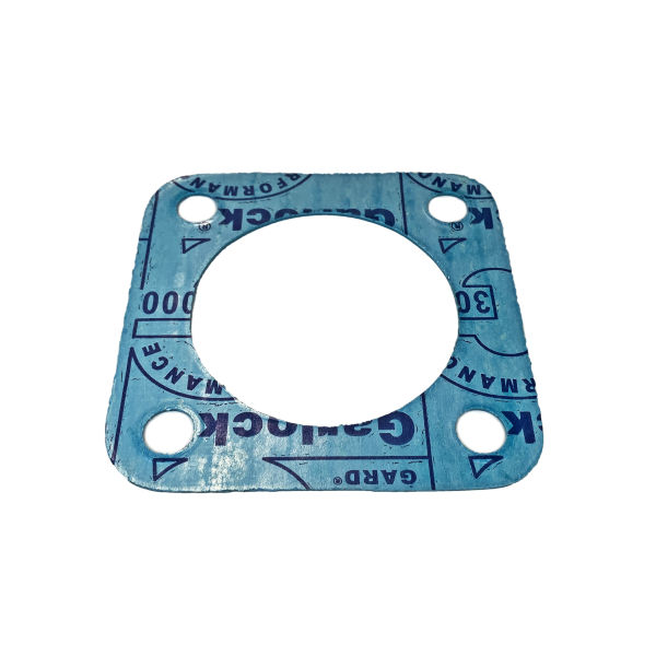 2" Blackmer Flange Gasket