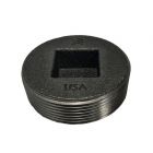 Plug 3 In. Mpt Steel, T5CDL9L Intake