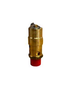 1" NPT Relief Valve 20MM, 36 PSI