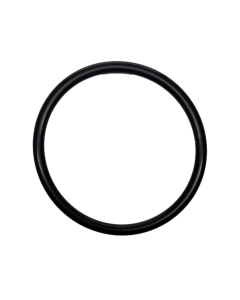 O-RING, 891A (408061)